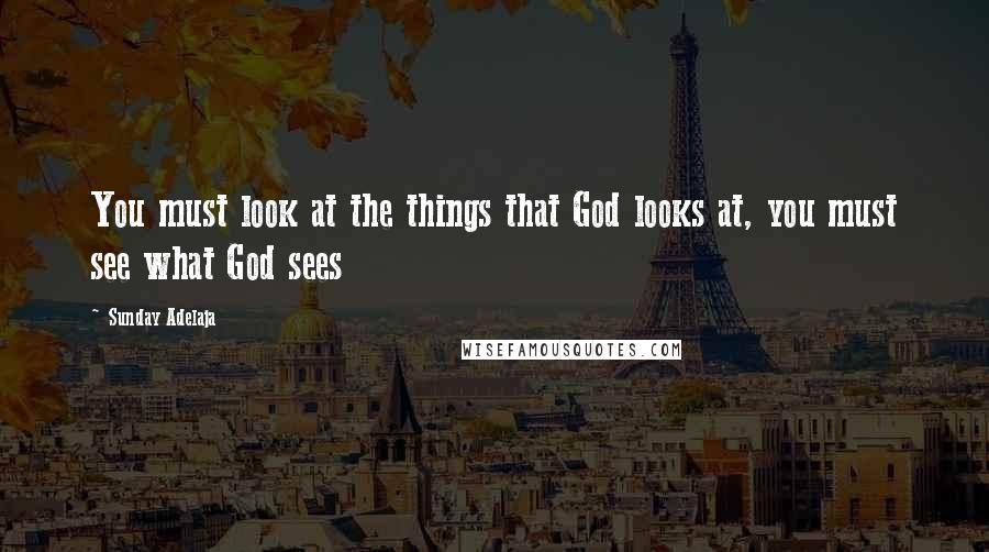 Sunday Adelaja Quotes: You must look at the things that God looks at, you must see what God sees