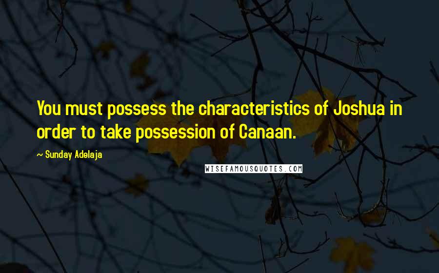 Sunday Adelaja Quotes: You must possess the characteristics of Joshua in order to take possession of Canaan.