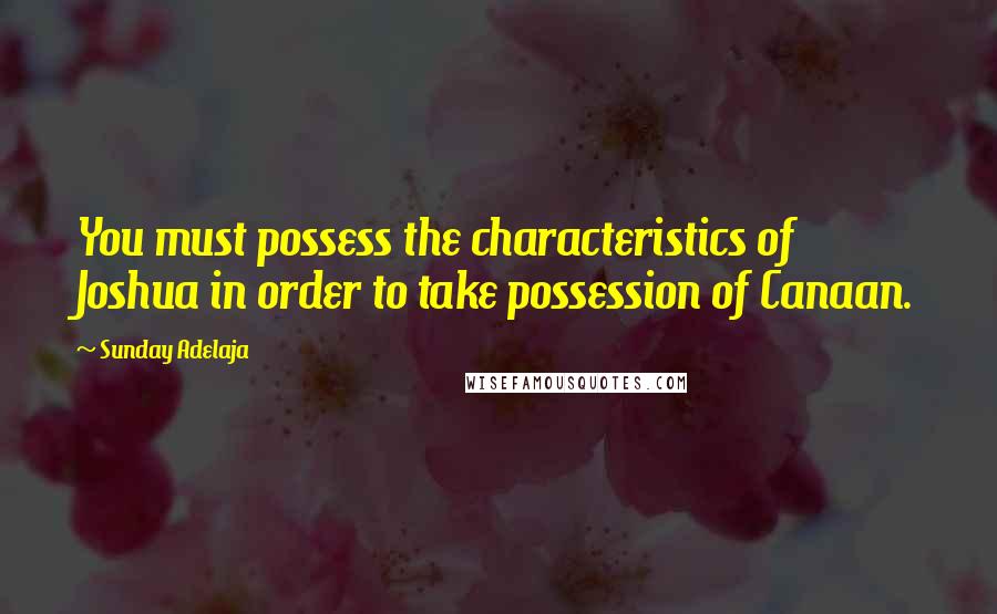 Sunday Adelaja Quotes: You must possess the characteristics of Joshua in order to take possession of Canaan.