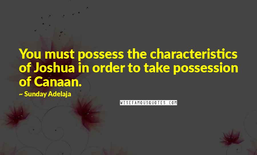 Sunday Adelaja Quotes: You must possess the characteristics of Joshua in order to take possession of Canaan.