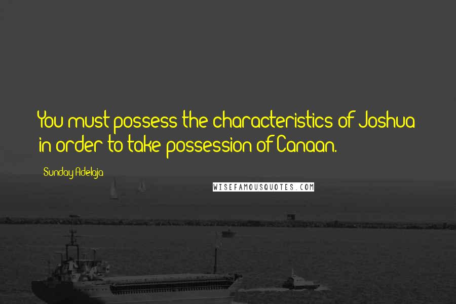 Sunday Adelaja Quotes: You must possess the characteristics of Joshua in order to take possession of Canaan.