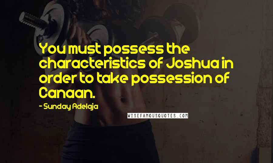 Sunday Adelaja Quotes: You must possess the characteristics of Joshua in order to take possession of Canaan.