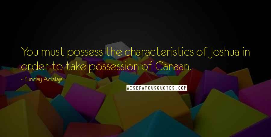 Sunday Adelaja Quotes: You must possess the characteristics of Joshua in order to take possession of Canaan.