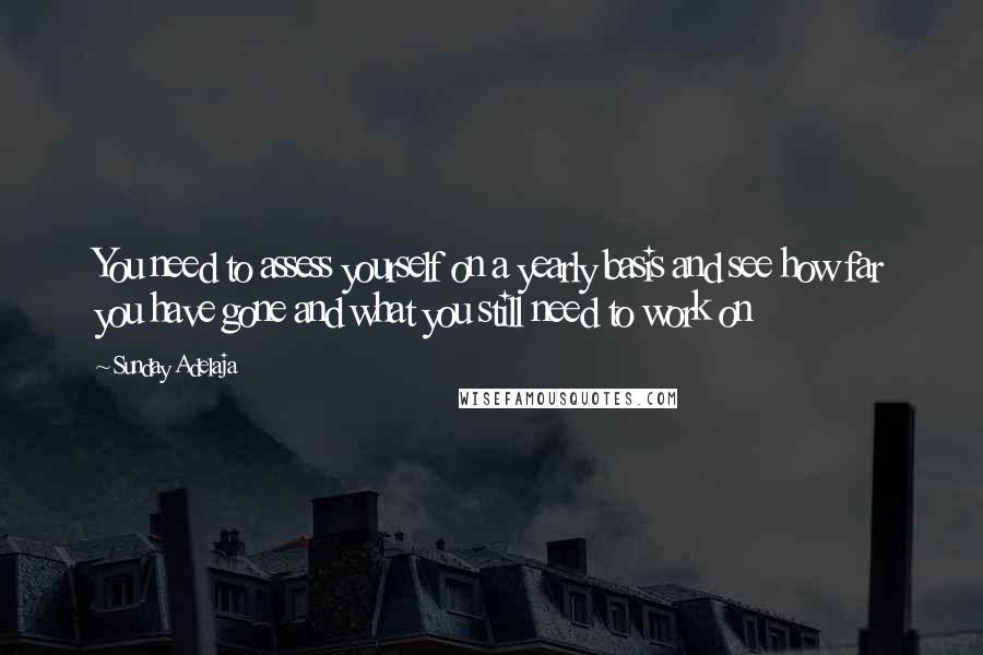 Sunday Adelaja Quotes: You need to assess yourself on a yearly basis and see how far you have gone and what you still need to work on