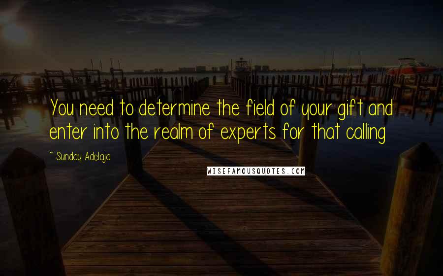 Sunday Adelaja Quotes: You need to determine the field of your gift and enter into the realm of experts for that calling