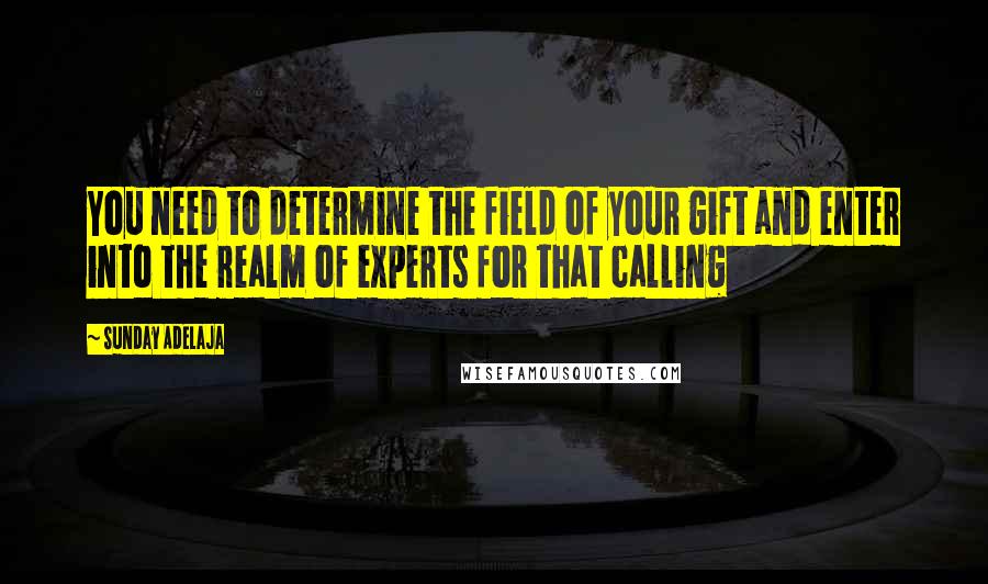 Sunday Adelaja Quotes: You need to determine the field of your gift and enter into the realm of experts for that calling