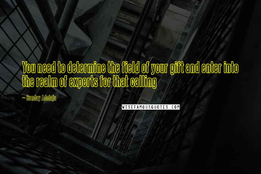Sunday Adelaja Quotes: You need to determine the field of your gift and enter into the realm of experts for that calling