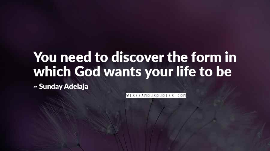 Sunday Adelaja Quotes: You need to discover the form in which God wants your life to be