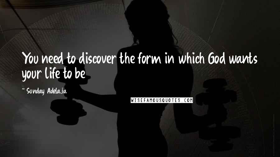 Sunday Adelaja Quotes: You need to discover the form in which God wants your life to be