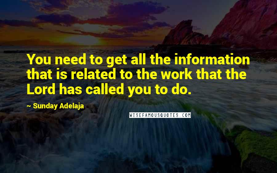 Sunday Adelaja Quotes: You need to get all the information that is related to the work that the Lord has called you to do.