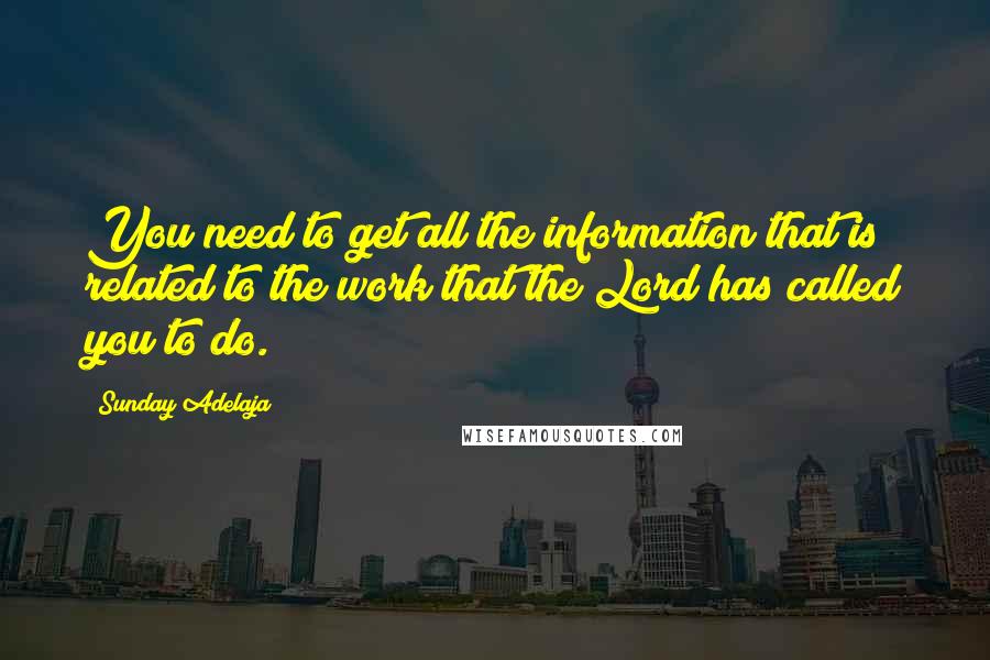 Sunday Adelaja Quotes: You need to get all the information that is related to the work that the Lord has called you to do.