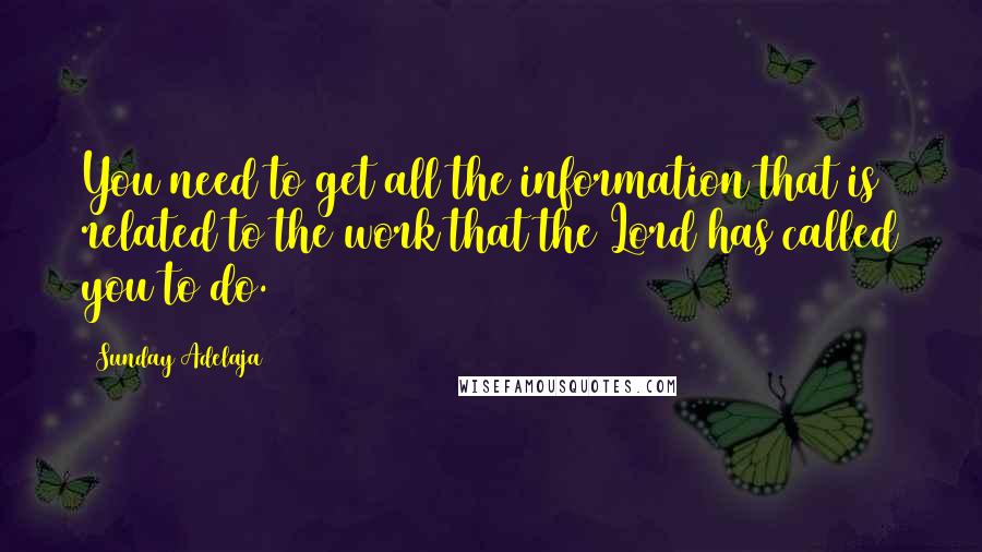 Sunday Adelaja Quotes: You need to get all the information that is related to the work that the Lord has called you to do.