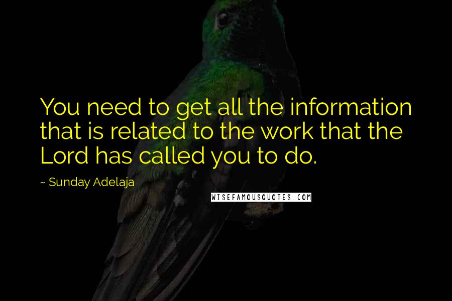 Sunday Adelaja Quotes: You need to get all the information that is related to the work that the Lord has called you to do.