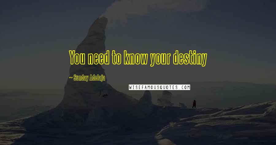 Sunday Adelaja Quotes: You need to know your destiny