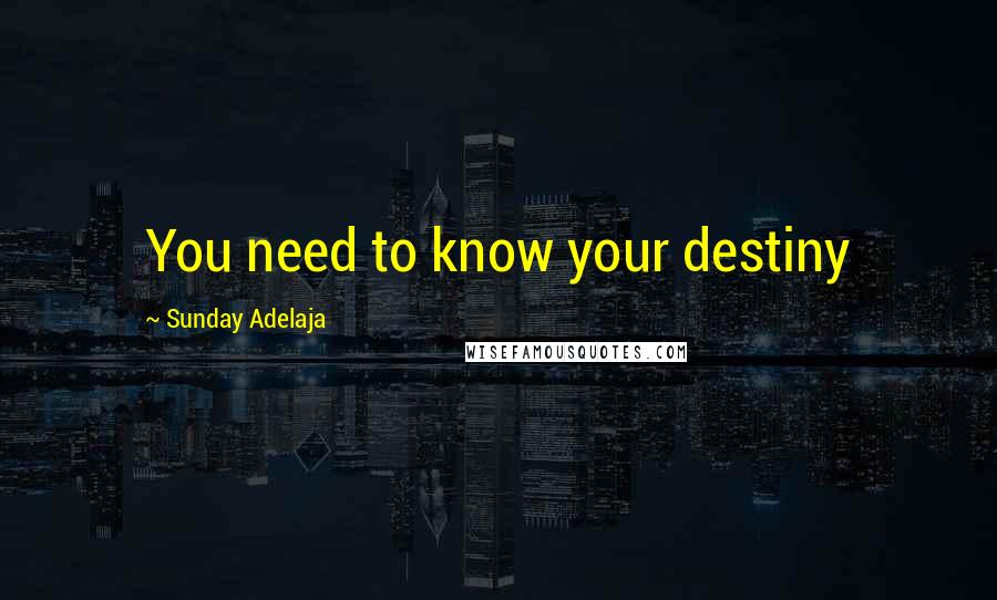 Sunday Adelaja Quotes: You need to know your destiny
