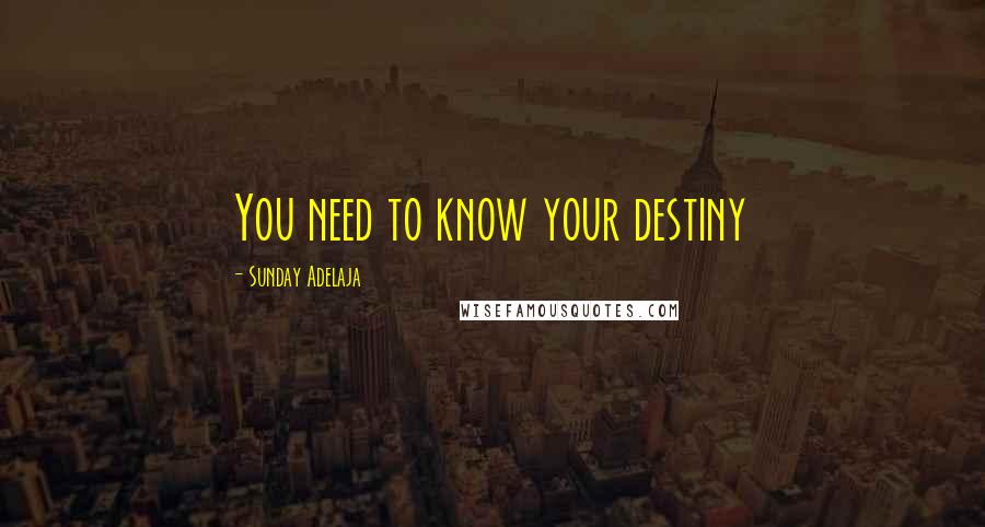 Sunday Adelaja Quotes: You need to know your destiny