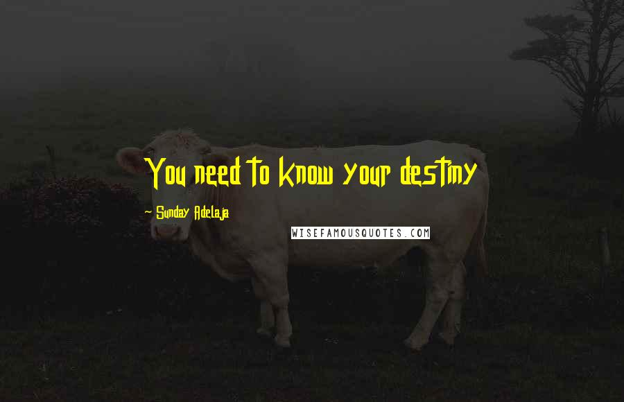 Sunday Adelaja Quotes: You need to know your destiny