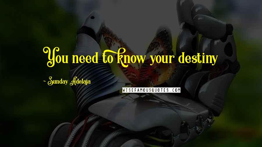 Sunday Adelaja Quotes: You need to know your destiny