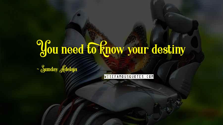 Sunday Adelaja Quotes: You need to know your destiny