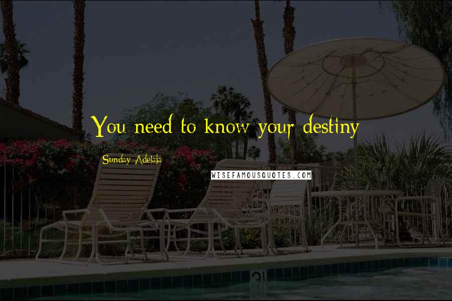 Sunday Adelaja Quotes: You need to know your destiny