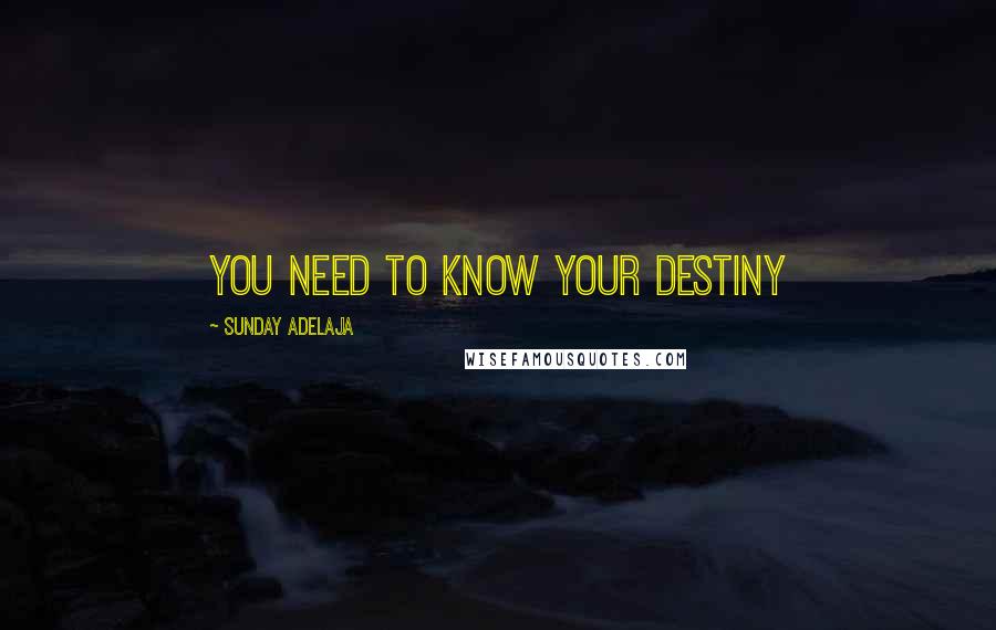 Sunday Adelaja Quotes: You need to know your destiny