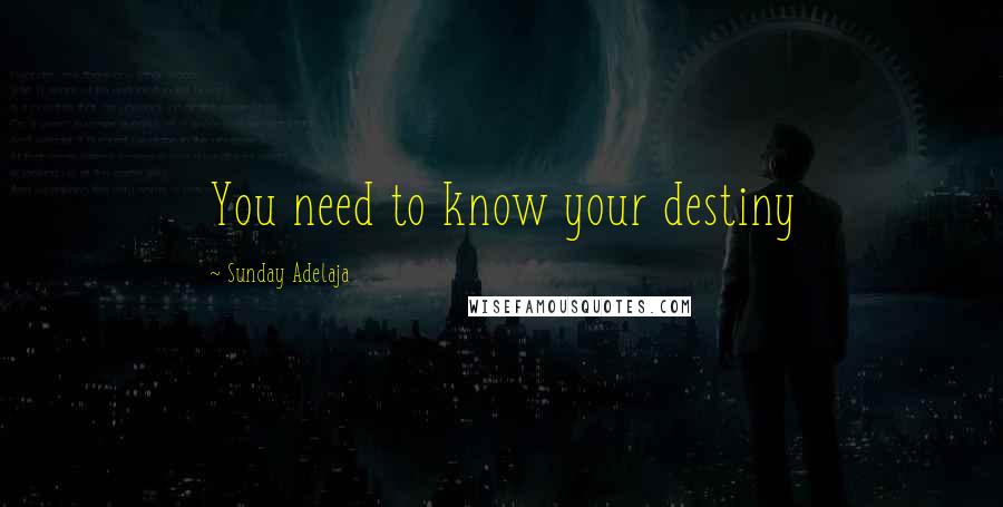 Sunday Adelaja Quotes: You need to know your destiny