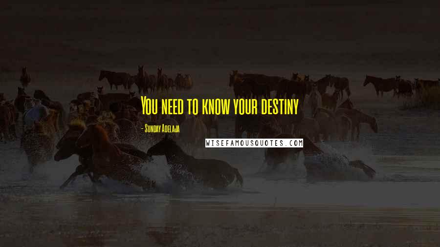 Sunday Adelaja Quotes: You need to know your destiny