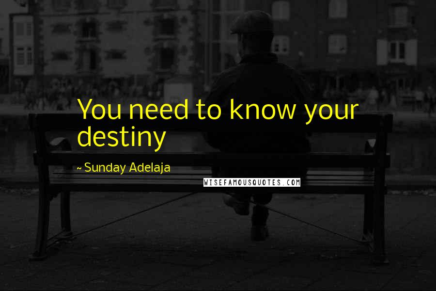 Sunday Adelaja Quotes: You need to know your destiny