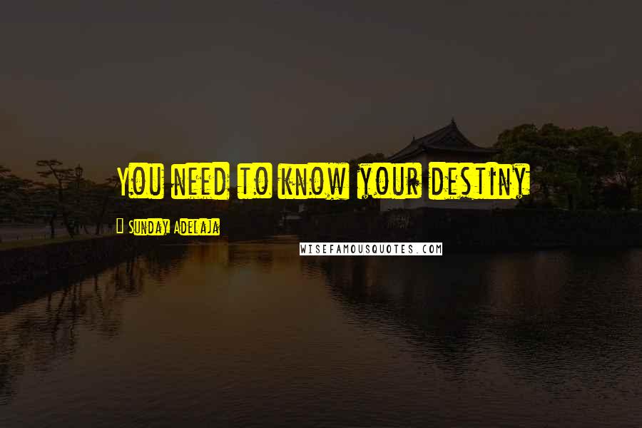 Sunday Adelaja Quotes: You need to know your destiny