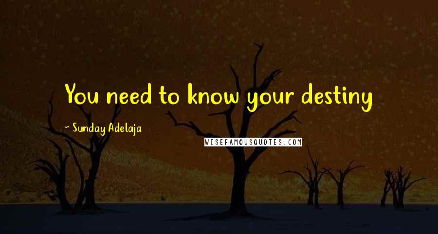 Sunday Adelaja Quotes: You need to know your destiny