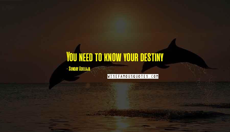 Sunday Adelaja Quotes: You need to know your destiny