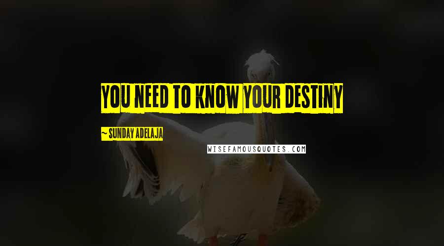 Sunday Adelaja Quotes: You need to know your destiny