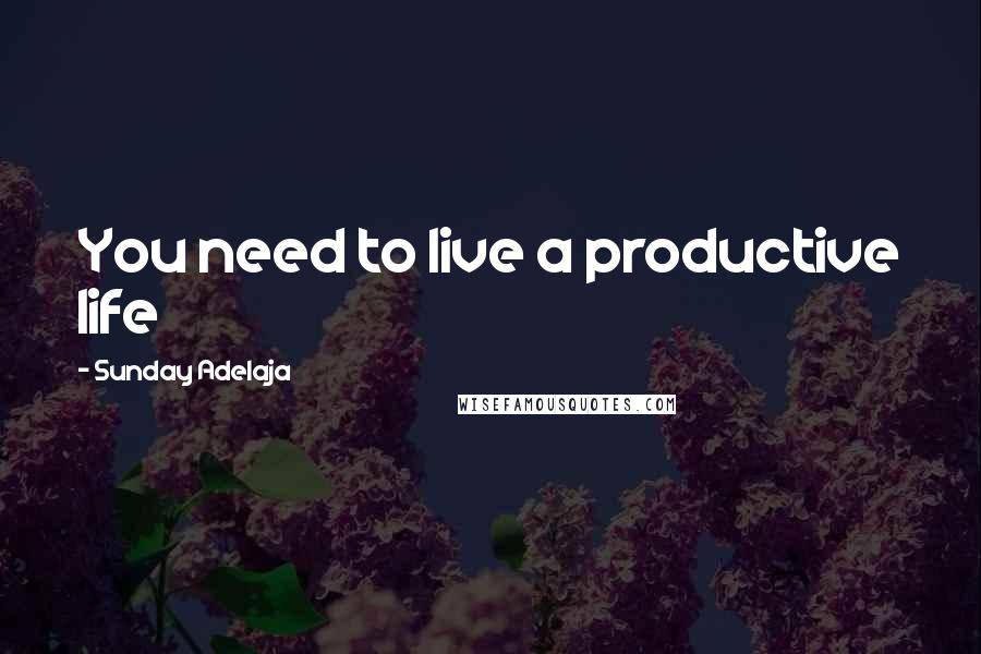 Sunday Adelaja Quotes: You need to live a productive life