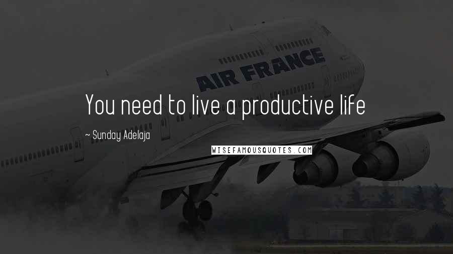 Sunday Adelaja Quotes: You need to live a productive life