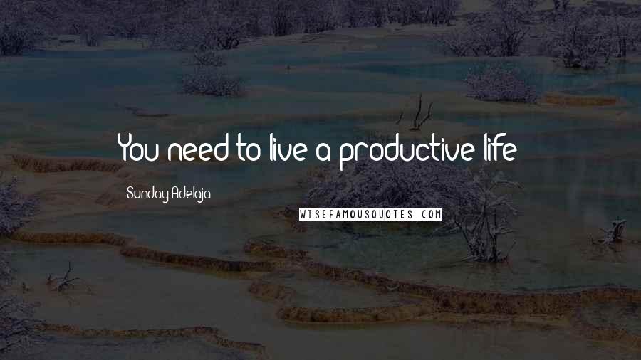 Sunday Adelaja Quotes: You need to live a productive life