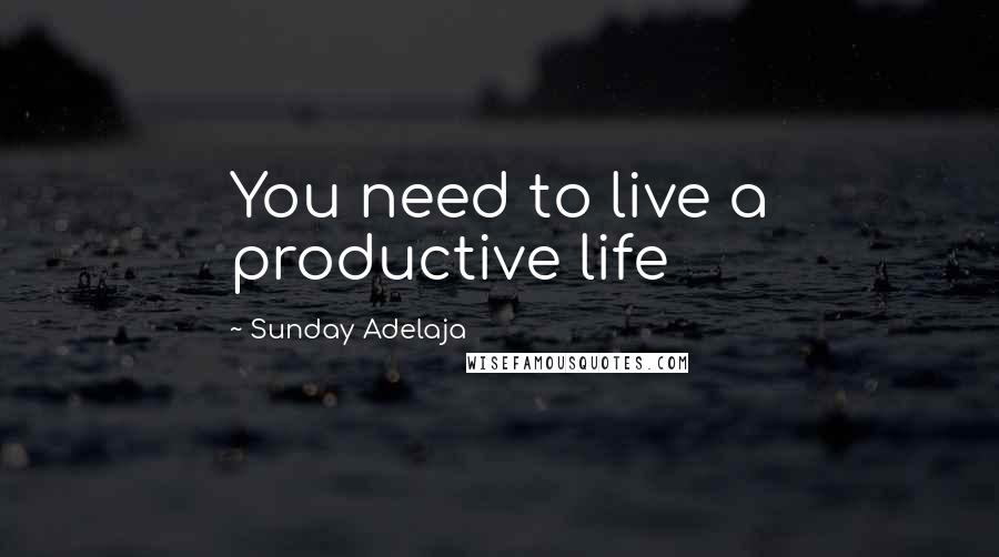 Sunday Adelaja Quotes: You need to live a productive life