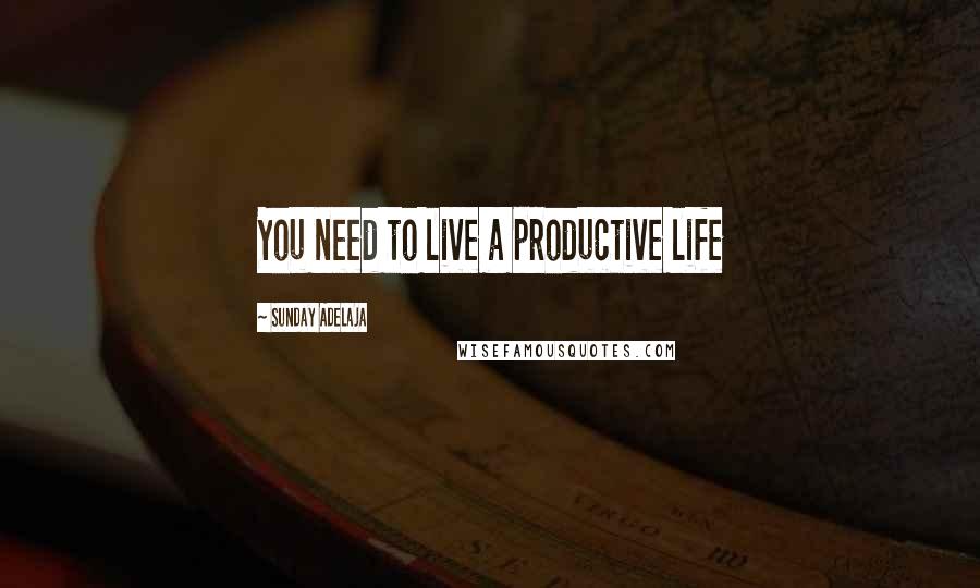 Sunday Adelaja Quotes: You need to live a productive life