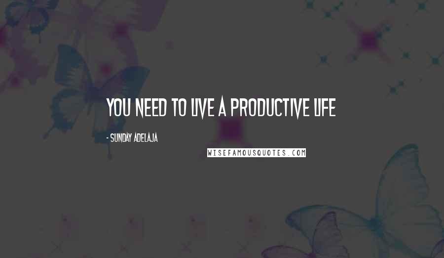 Sunday Adelaja Quotes: You need to live a productive life