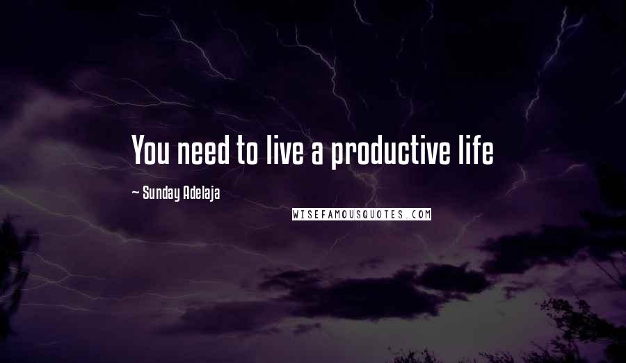 Sunday Adelaja Quotes: You need to live a productive life