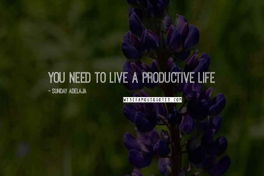 Sunday Adelaja Quotes: You need to live a productive life