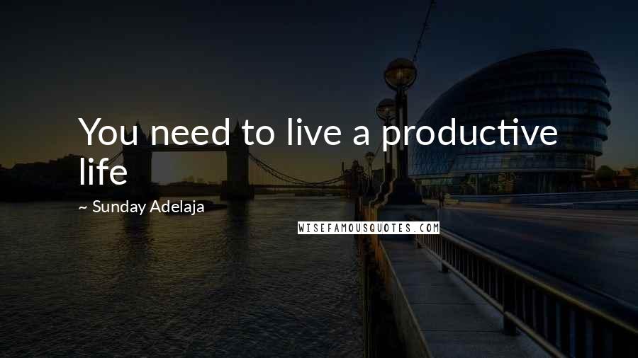 Sunday Adelaja Quotes: You need to live a productive life