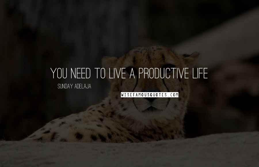 Sunday Adelaja Quotes: You need to live a productive life
