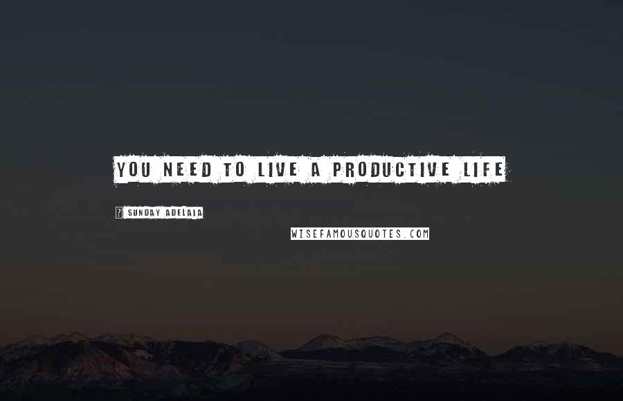 Sunday Adelaja Quotes: You need to live a productive life
