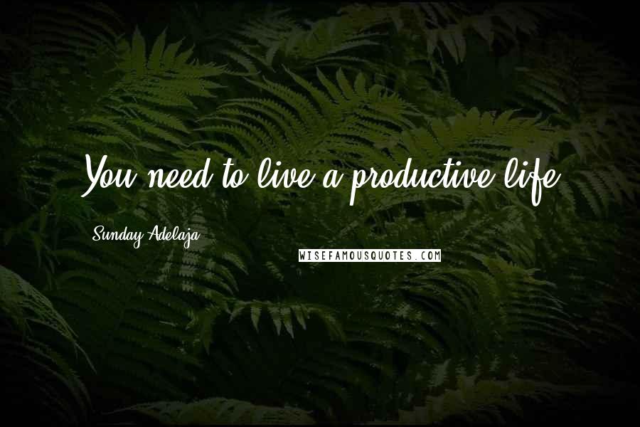 Sunday Adelaja Quotes: You need to live a productive life