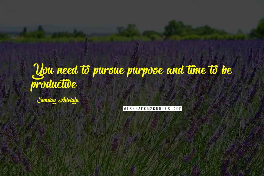 Sunday Adelaja Quotes: You need to pursue purpose and time to be productive