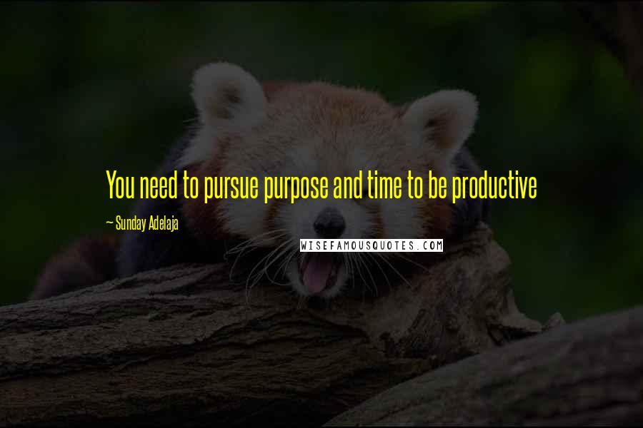 Sunday Adelaja Quotes: You need to pursue purpose and time to be productive