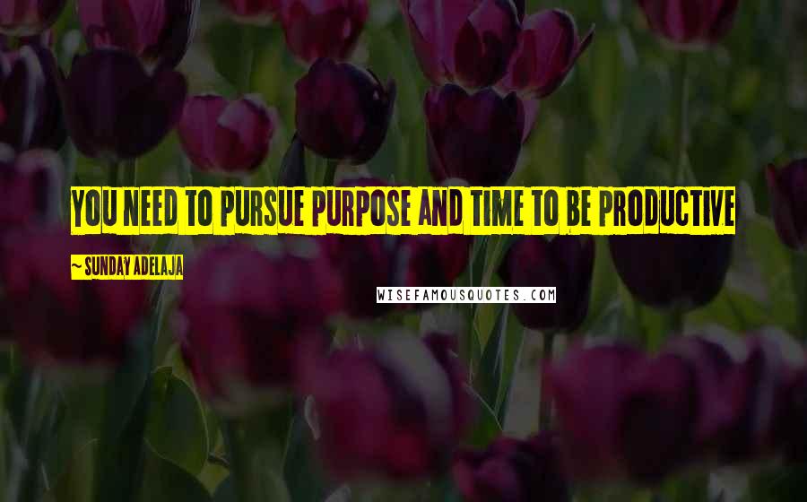 Sunday Adelaja Quotes: You need to pursue purpose and time to be productive