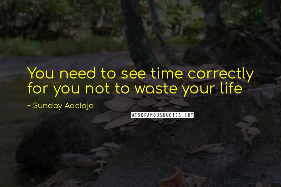 Sunday Adelaja Quotes: You need to see time correctly for you not to waste your life