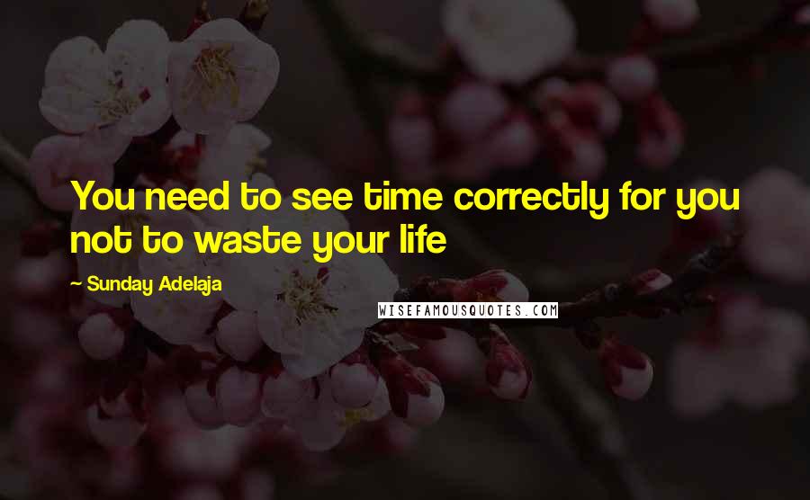 Sunday Adelaja Quotes: You need to see time correctly for you not to waste your life