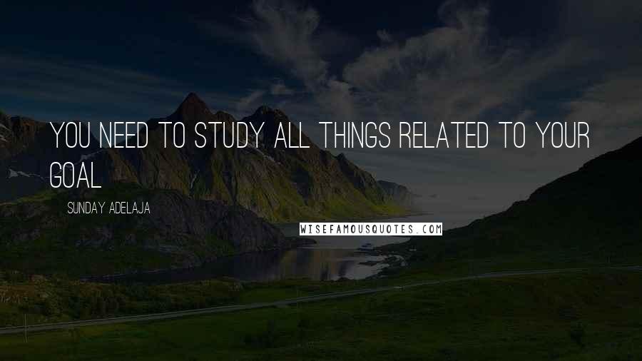 Sunday Adelaja Quotes: You need to study all things related to your goal